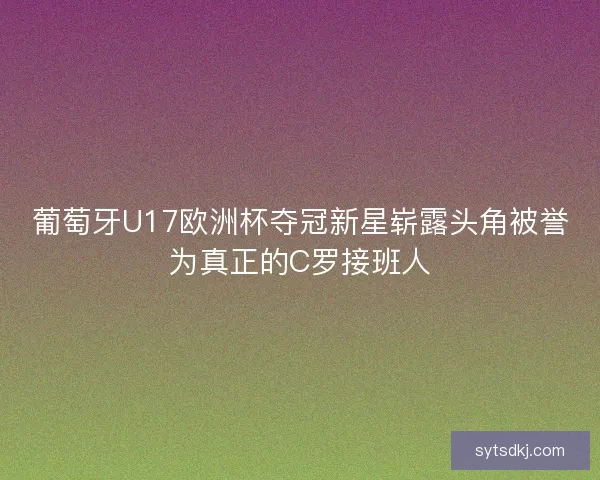 葡萄牙U17欧洲杯夺冠新星崭露头角被誉为真正的C罗接班人