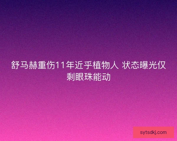 舒马赫重伤11年近乎植物人 状态曝光仅剩眼珠能动